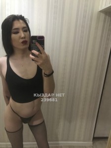 Транс Шымкента Транс№239681 J A N E L Y A последние дни Фотография №2673073