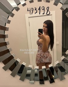 Транс Алматы Транс№493198 Госпожа Мадонна Фотография №3719239