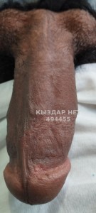 Жиголо Тараза Анкета №494455 Фотография №3727875