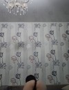 Фотография №3730086